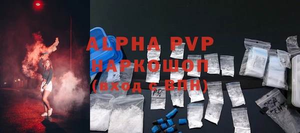 ешки Бородино