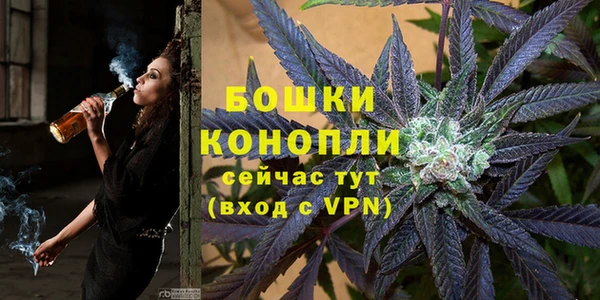 дурь Бронницы