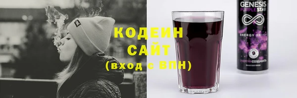 ешки Бородино