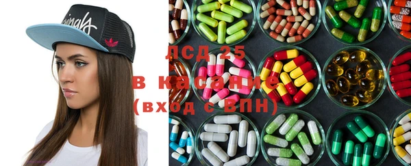 ешки Бородино