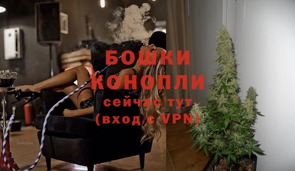 ешки Бородино