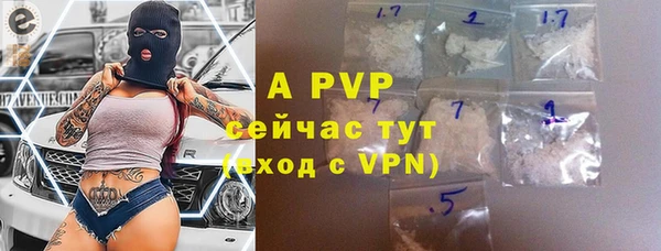 ешки Бородино