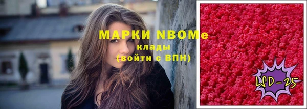 ешки Бородино