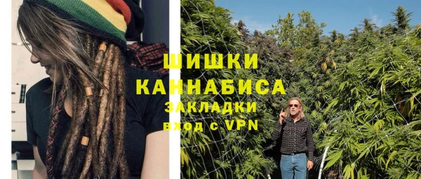 ешки Бородино
