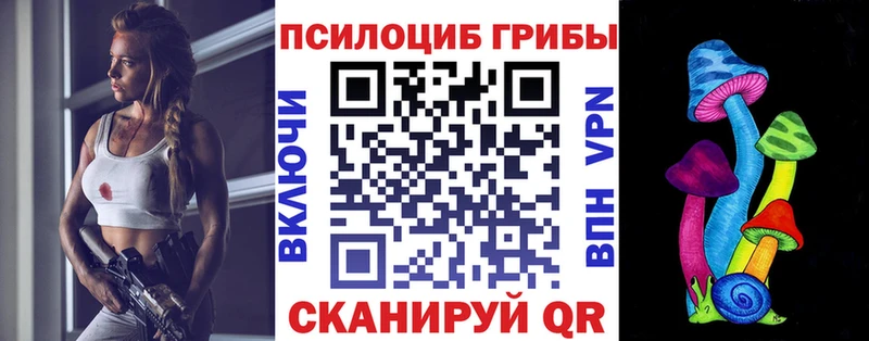 где найти наркотики  Дивногорск  Псилоцибиновые грибы Magic Shrooms 
